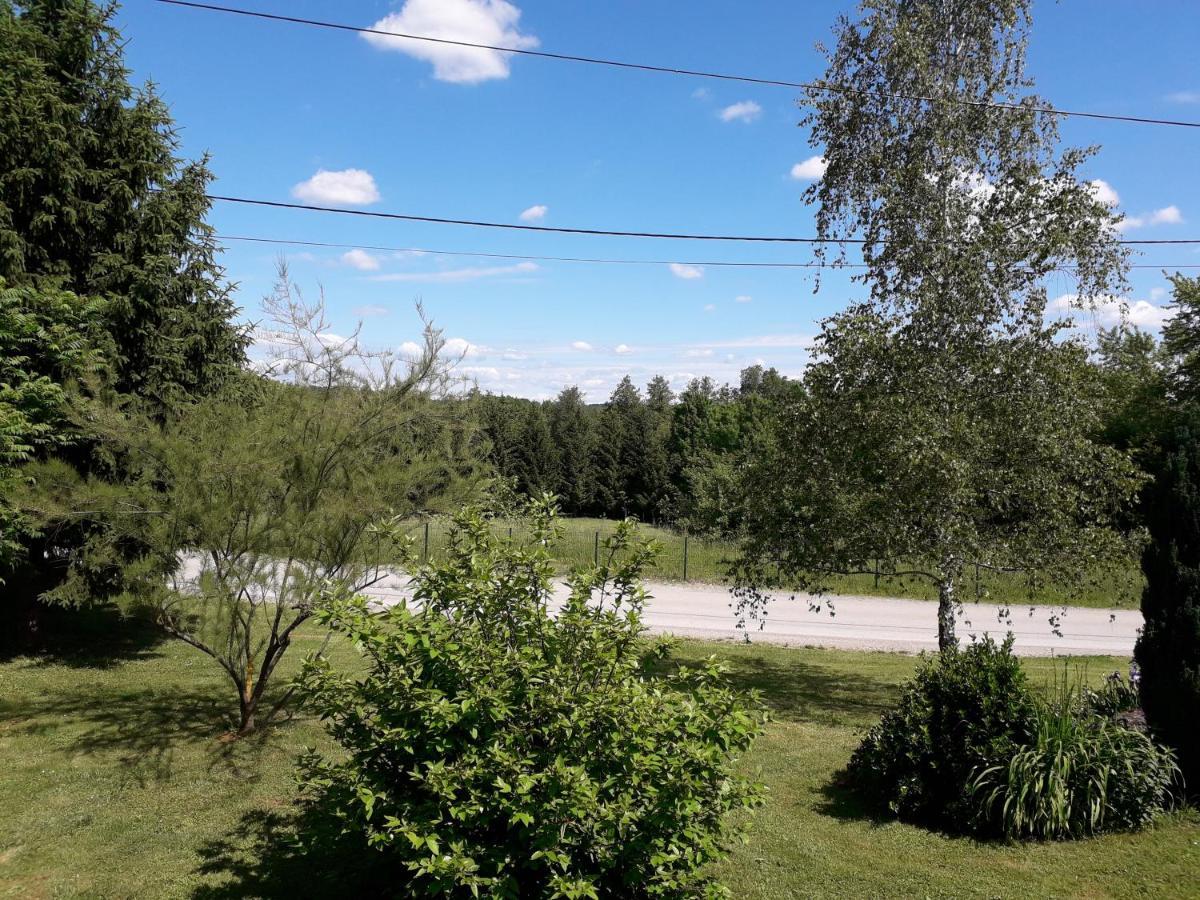 Apartment Iva Duga Resa Dış mekan fotoğraf